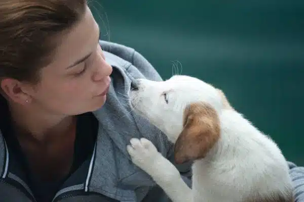 Les clés d’une bonne santé pour votre chien : les soins quotidiens à ne pas négliger