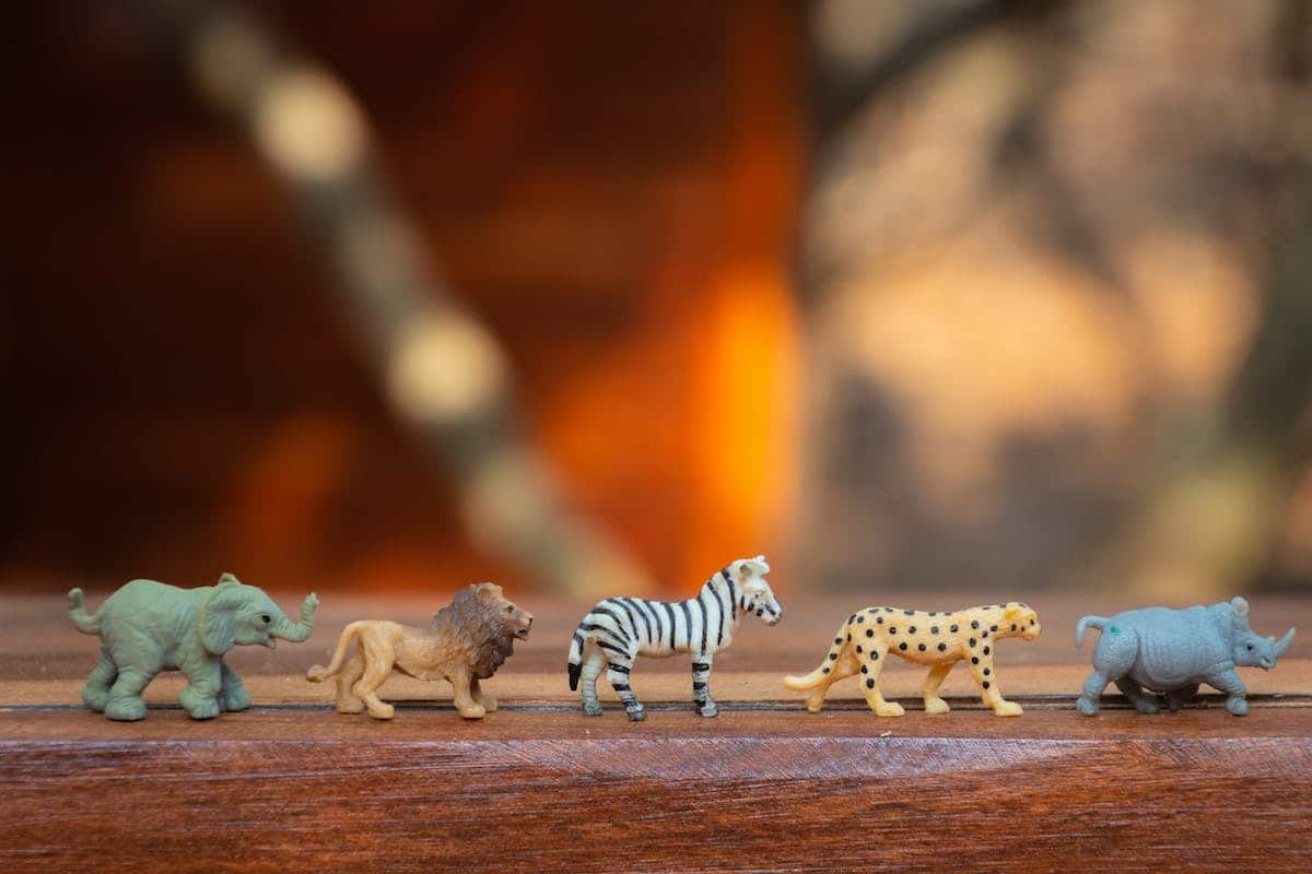 Stimulez l’intelligence de vos animaux de compagnie avec des activités ludiques