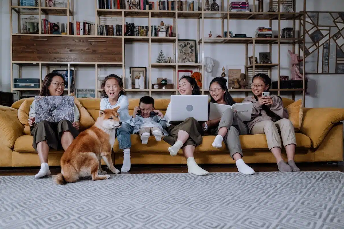 Trouver le chien parfait pour votre mode de vie et votre famille : nos conseils experts