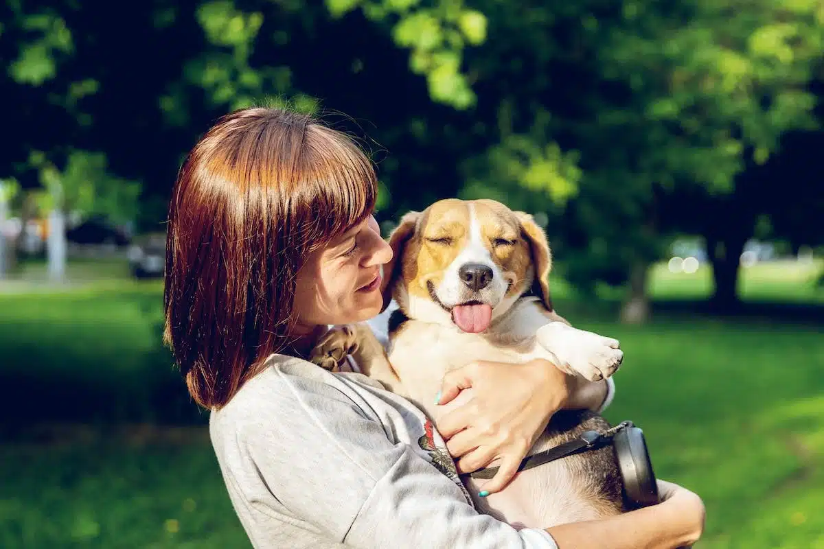 Les indispensables pour simplifier la routine de votre chien au quotidien