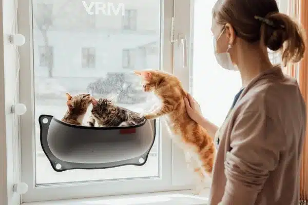 Gérer le stress grâce aux animaux de compagnie : une solution efficace !