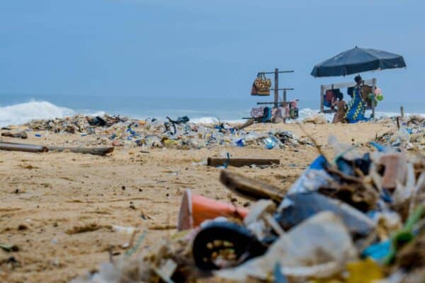 Les dangers de la pollution plastique pour les animaux marins