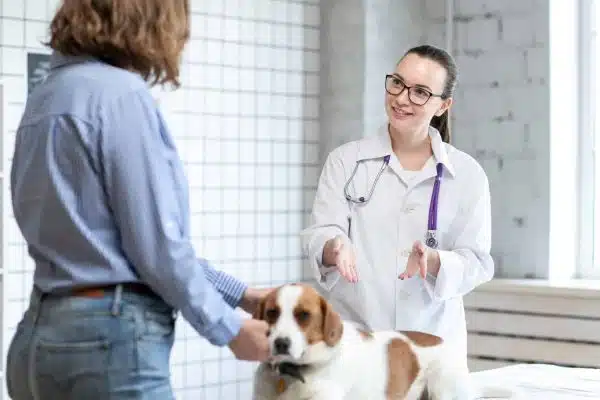Est-ce qu’un vétérinaire est un docteur ?