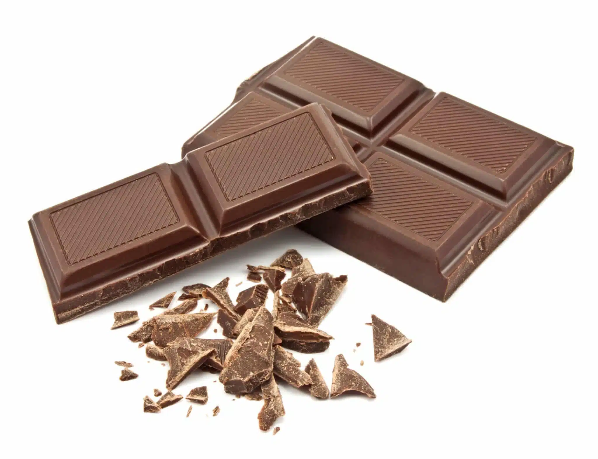 Intoxication par le chocolat chez le chien 