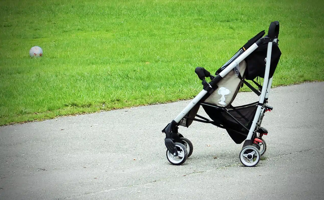 Bien choisir une poussette pour votre chien : confort et sécurité en balade