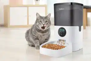 Distributeurs de croquettes pour chat : service à volonté ou repas programmés ?