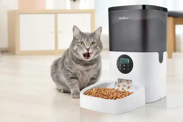 Distributeurs de croquettes pour chat : service à volonté ou repas programmés ?