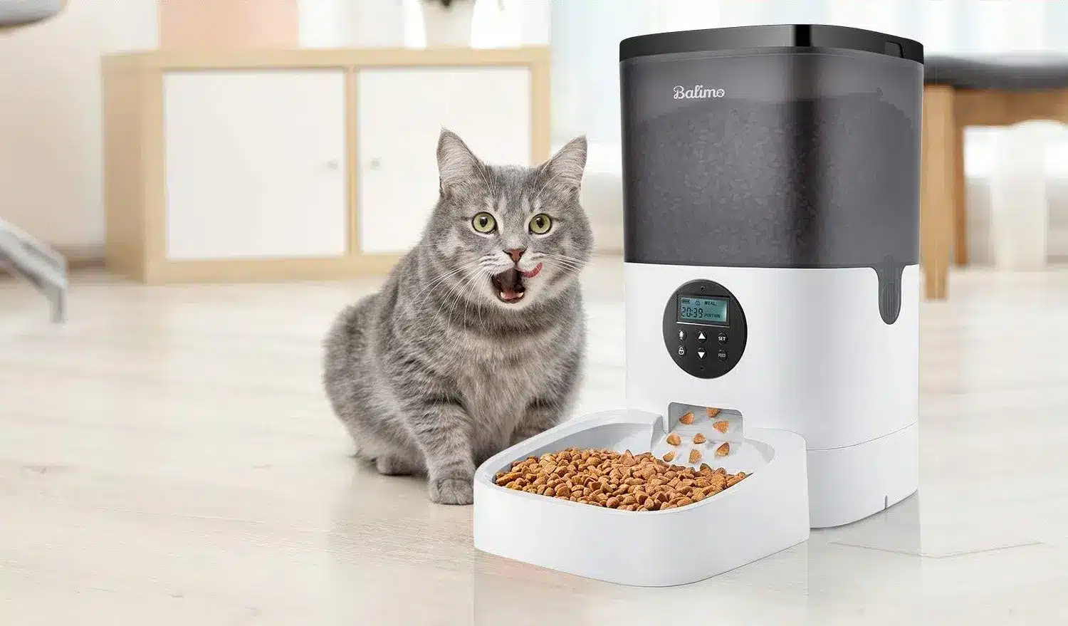 Distributeurs de croquettes pour chat : service à volonté ou repas programmés ?